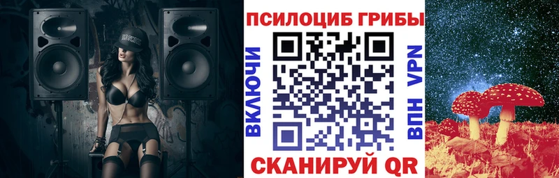 хочу   Таштагол  OMG ONION  Псилоцибиновые грибы прущие грибы 